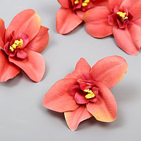 Бутон на ножке для декорирования "Орхидея кремово-розовая" 7,5х8 см