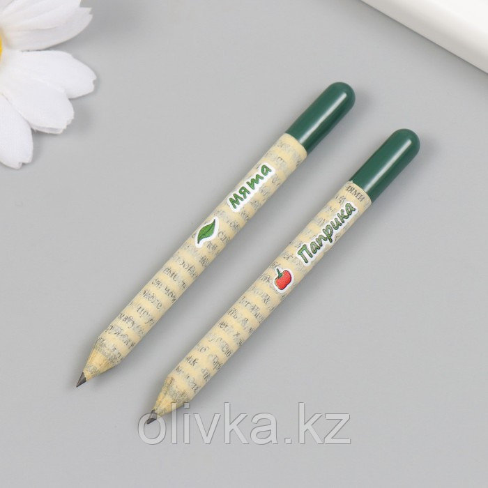 Растущие подарочные карандаши mini "Мята и Паприка" набор 2 шт - фото 4 - id-p113959933
