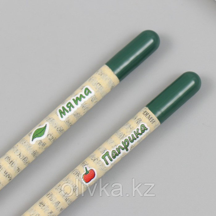 Растущие подарочные карандаши mini "Мята и Паприка" набор 2 шт - фото 5 - id-p113959933