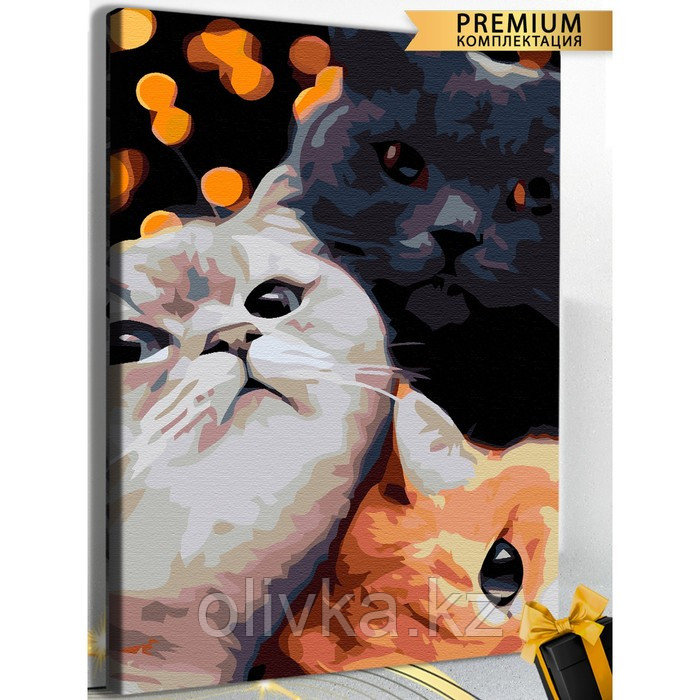 Картина по номерам «Три кота» холст на подрамнике, 40 × 60 см - фото 1 - id-p113959021