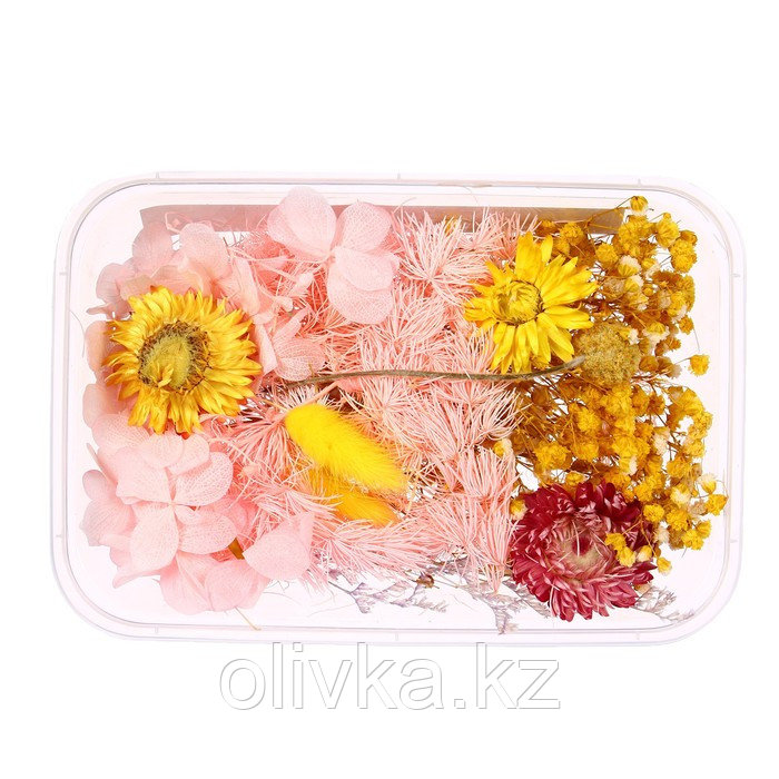 Набор для творчества «Набор сухоцветов» большой, розовый + жёлтый - фото 2 - id-p113952138