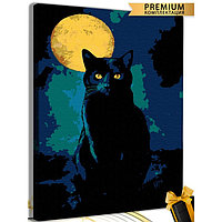 Картина по номерам «Кот при луне» холст на подрамнике, 40 × 50 см