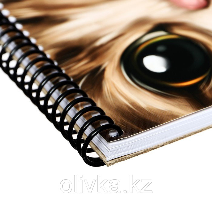 Скетчбук для карандаша А6+ 64 листа на гребне "Кот", обложка картон, твёрдая подложка, глянцевая ламинация, - фото 3 - id-p113956314