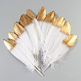Набор перьев гуся 15-20 см, 10 шт, бело-золотой, фото 2