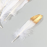 Набор перьев гуся 15-20 см, 10 шт, бело-золотой, фото 3