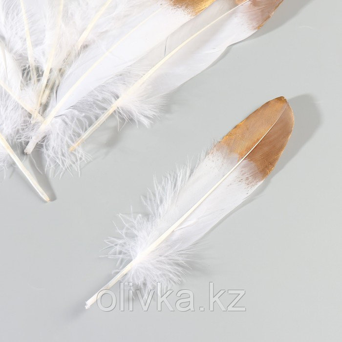 Набор перьев гуся 15-20 см, 10 шт, бело-золотой - фото 4 - id-p113955396