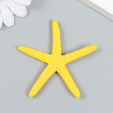 Фигурка для флорариума полистоун "Жёлтая морская звезда" 6,3х6 см, фото 2