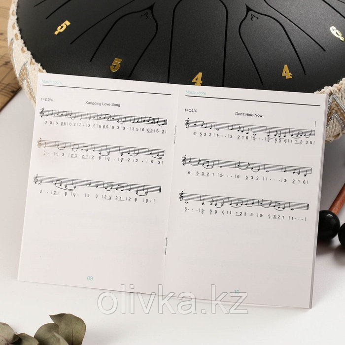 Музыкальный инструмент Глюкофон Music Life, черный, 15 лепестков, 33 см - фото 6 - id-p113957286