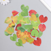 Наклейки для творчества пластик "Листья в форме сердца" набор 40 шт 0,3х8х14,8 см