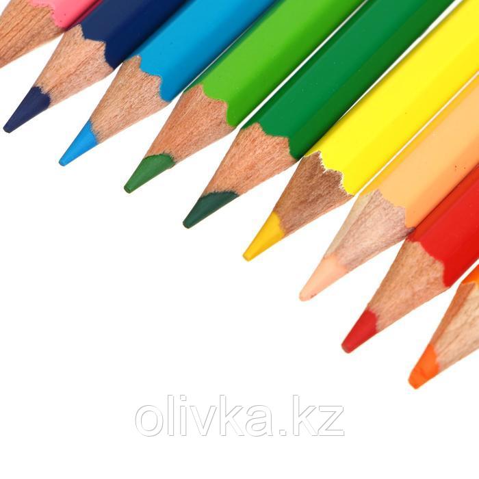Карандаши художественные цветные мягкие, ЗХК "Сонет", 12 цветов, - фото 3 - id-p113946704