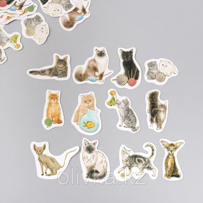 Наклейки для творчества "Породы кошек" тиснение золото набор 48 шт 9х7х0,8 см - фото 1 - id-p113954619