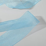 Лента капроновая, 50 мм × 30 ± 1 м, цвет тёмно-голубой, фото 2