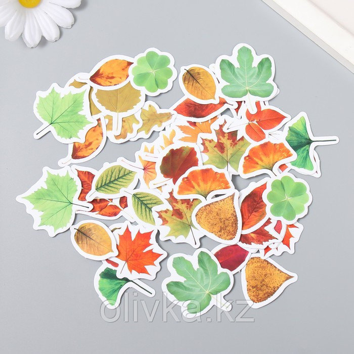 Наклейки для творчества "Осенние листья" набор 46 шт 6,4х4,4х1,1 см - фото 1 - id-p113952984