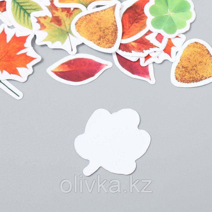 Наклейки для творчества "Осенние листья" набор 46 шт 6,4х4,4х1,1 см - фото 3 - id-p113952984