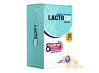 Пробиотик ЛактоСиф 30 млрд КҚБ (LactoCif 30 млрд CFU AYUSRI), 60 кап