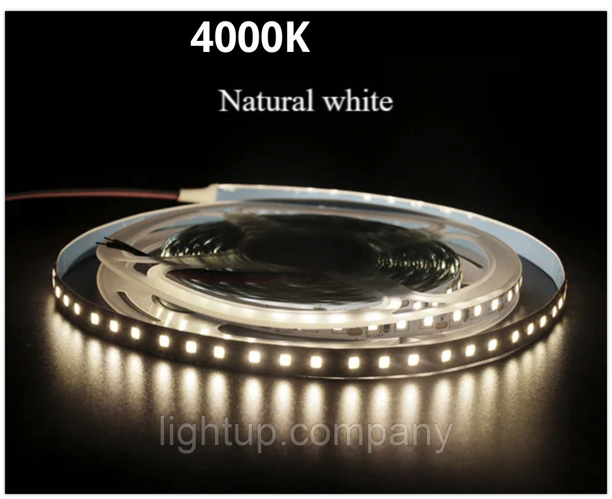 LightUP Светодиодная лента 24В 2835 11Вт/м 4000K 10м IP20 120 led - фото 1 - id-p113985947