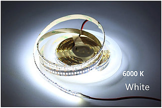 LightUP Светодиодная лента 24В 2835 15Вт/м 6000K 10м IP20 240Led