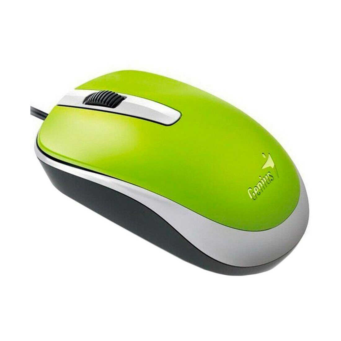 Компьютерная мышь проводная, зеленая Genius DX-120 - фото 1 - id-p108984770