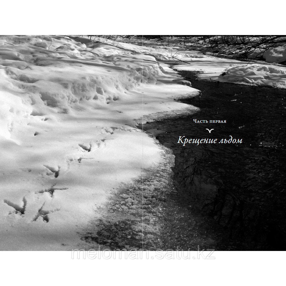 Слат Дж.: Совы во льдах: Как спасали самого большого филина в мире - фото 2 - id-p113870194