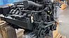 Двигатель Liebherr D9512 Новый, фото 7
