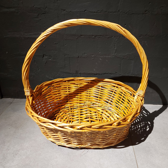 Бисексуалды жыныс ммф