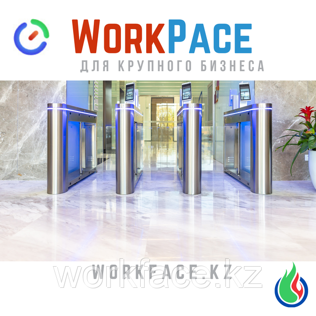 WorkPace для крупных компаний