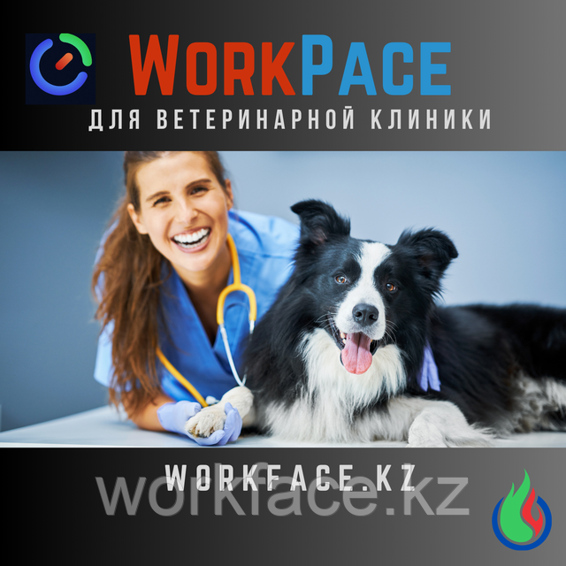 WorkPace – ваш персональный помощник в учете времени и повышении эффективности!