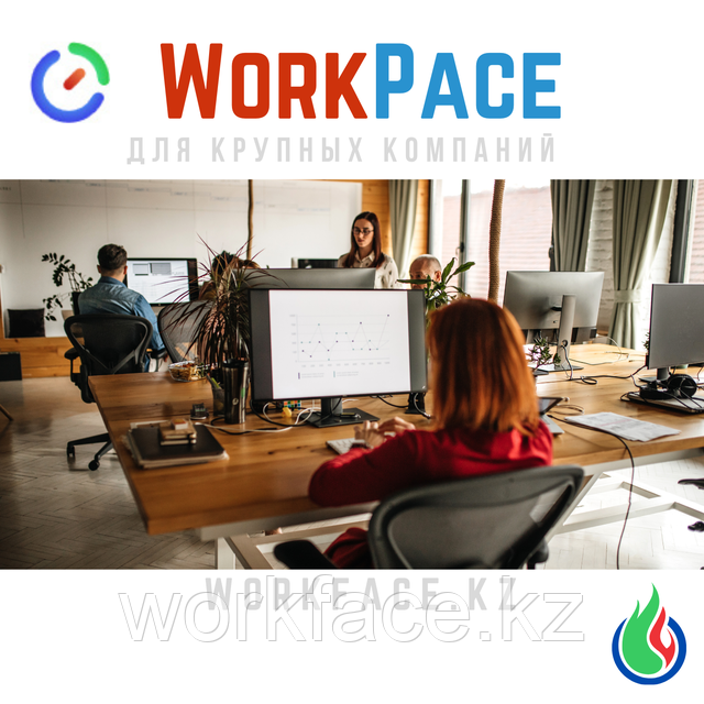 WorkPace аналитика и отчетность