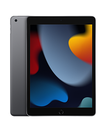 Apple iPad 9th 10.2 (2021) 256Gb Wi-Fi gray
