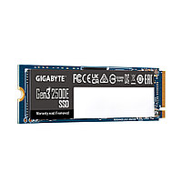1000 ГБ SSD диск GIGABYTE AORUS Gen3 2500E (G325E1TB) синий
