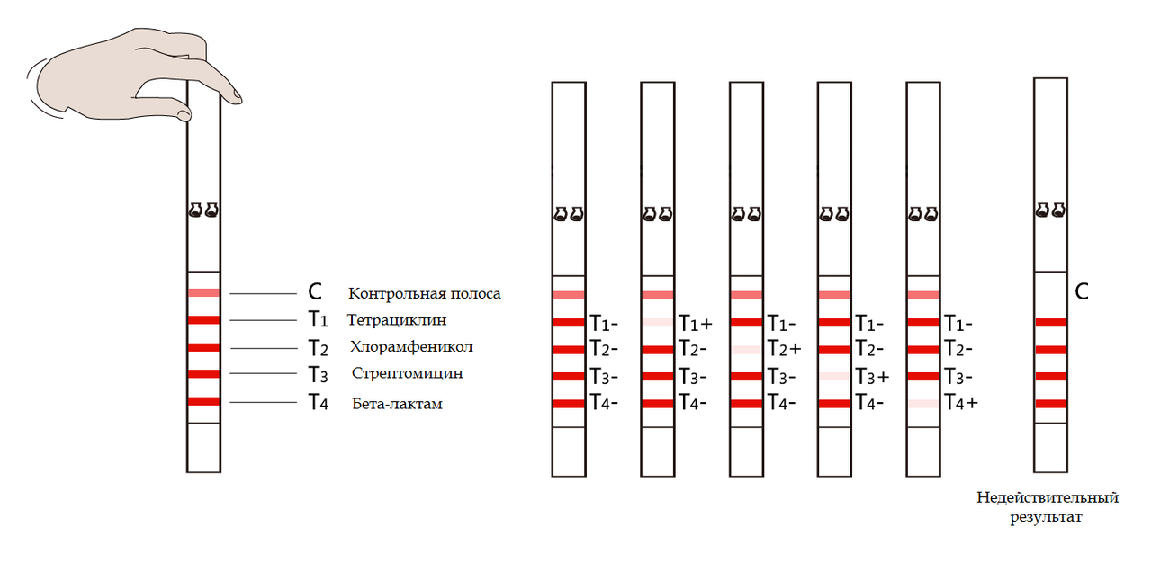 ЭКСПРЕСС ТЕСТ на антибиотики «PIONEER» (4 В 1) (96 тестов) - фото 2 - id-p114087144