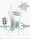 Отопедический корсет при поясничной грыже и переломе позвонка, надежно и сильно фиксирует. - фото 4 - id-p114093156