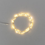 Гирлянда Роса 5 м, 50 LED, USB, теплое белое свечение NEON-NIGHT, фото 2