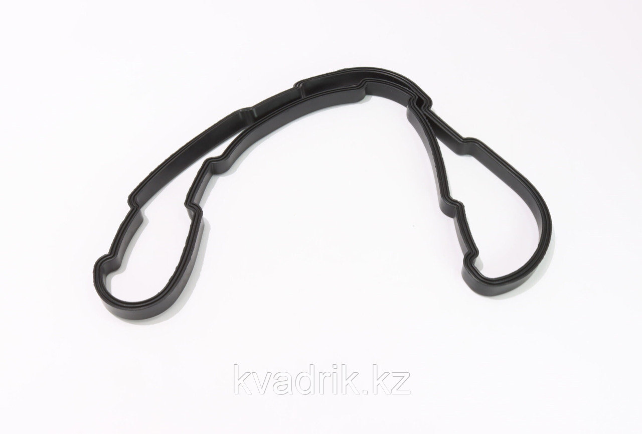 Уплотнитель прокладка крышки воздушного фильтра OEM 0800-110004