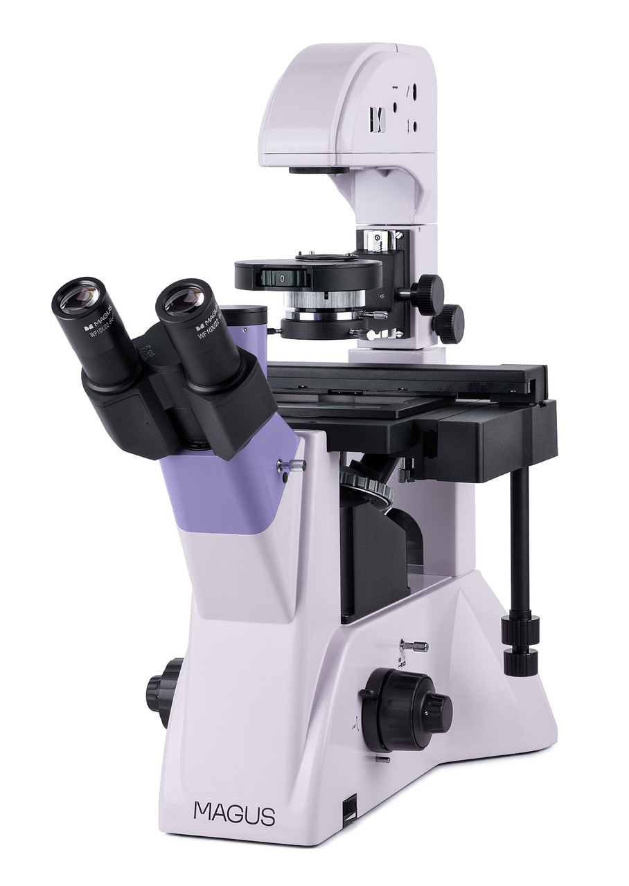 Микроскоп биологический инвертированный MAGUS Bio V350 - фото 1 - id-p114109395