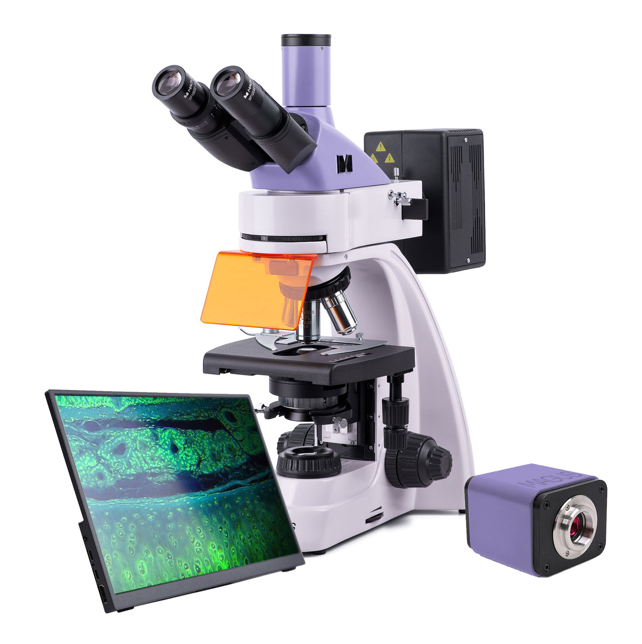 Микроскоп люминесцентный цифровой MAGUS Lum D400 LCD - фото 1 - id-p114109416