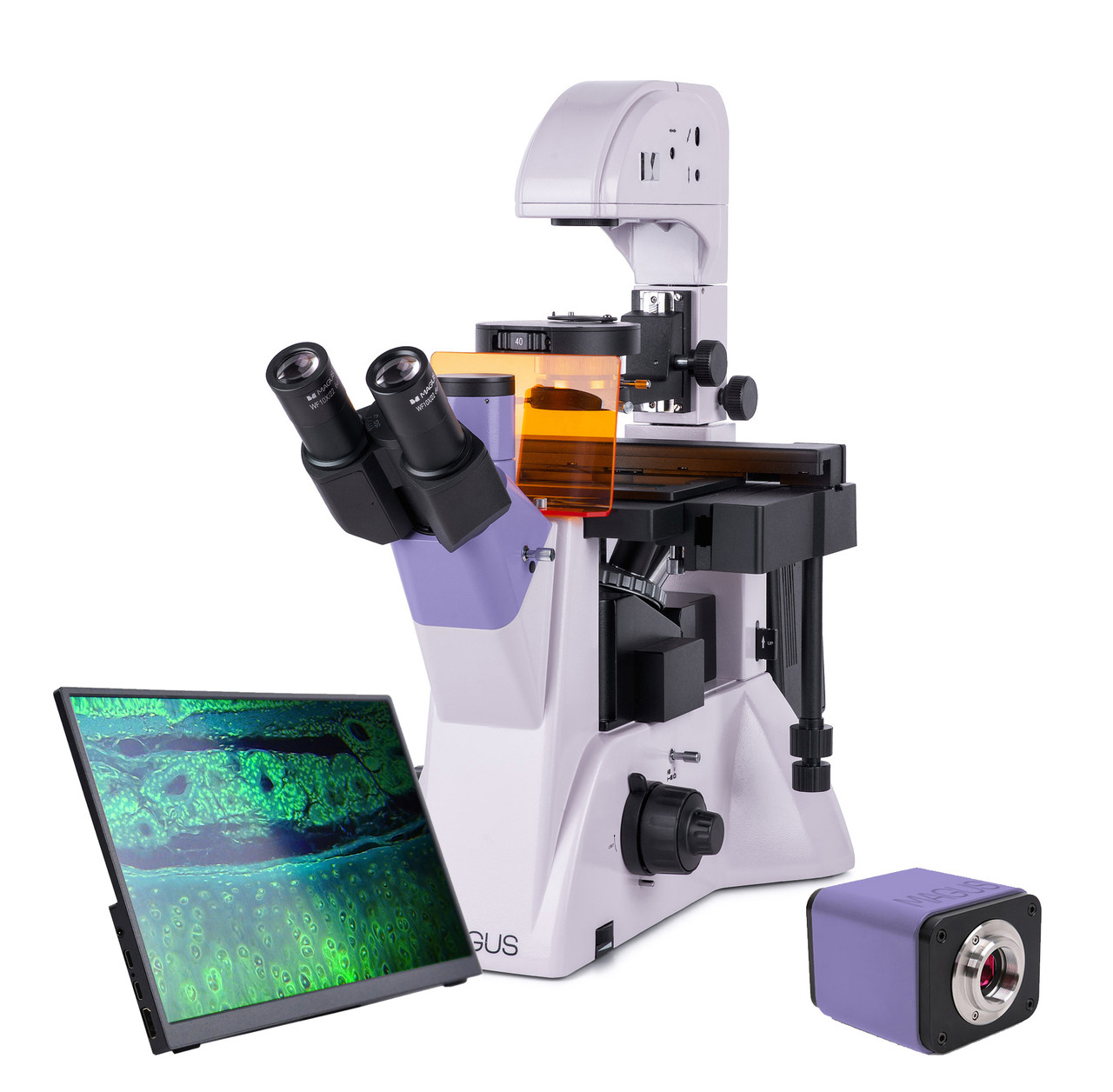 Микроскоп люминесцентный инвертированный цифровой MAGUS Lum VD500 LCD - фото 1 - id-p114109418