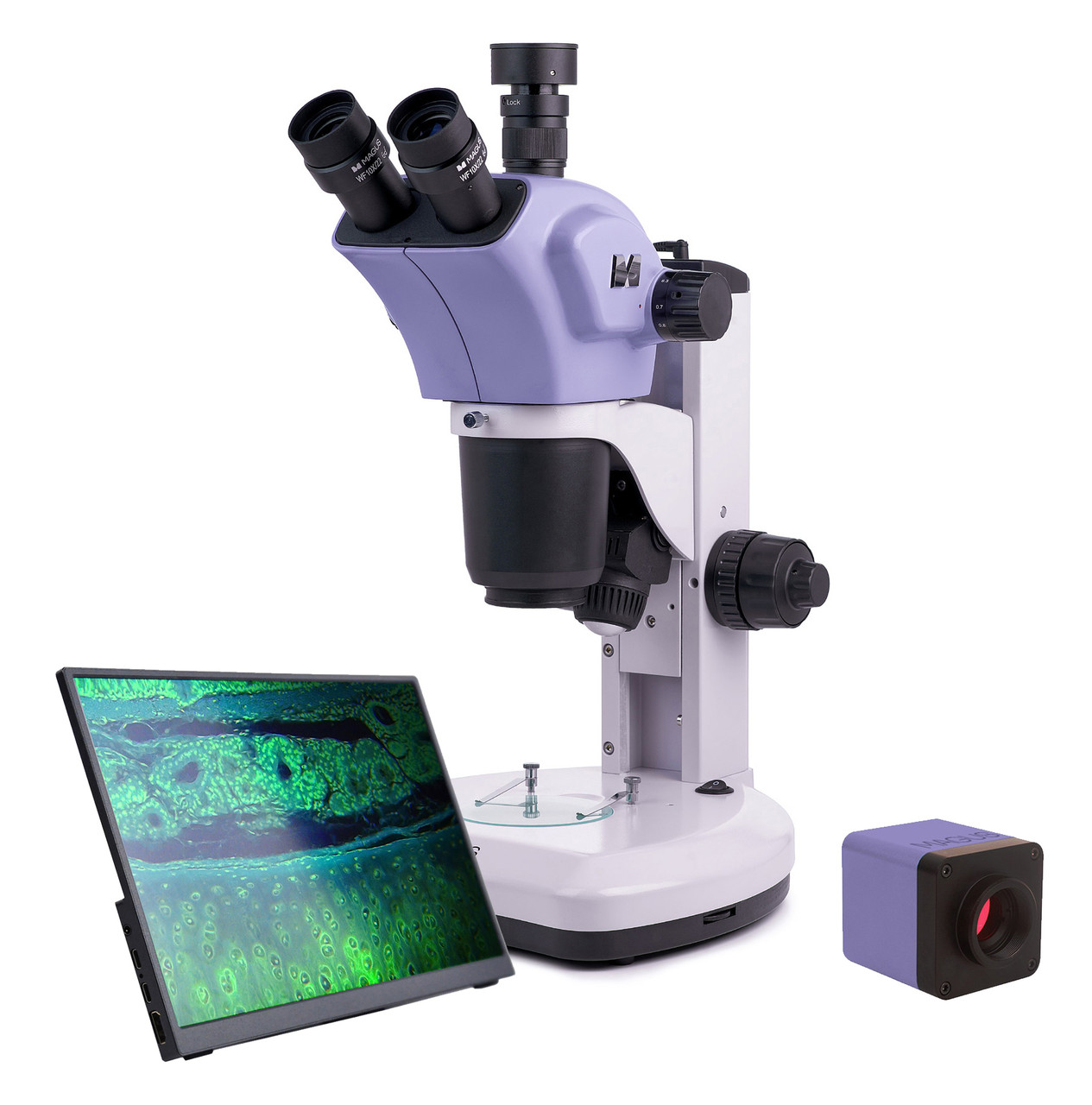 Микроскоп стереоскопический цифровой MAGUS Stereo D9T LCD - фото 1 - id-p114109452