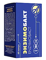 Энзимобакт (60 капсул)