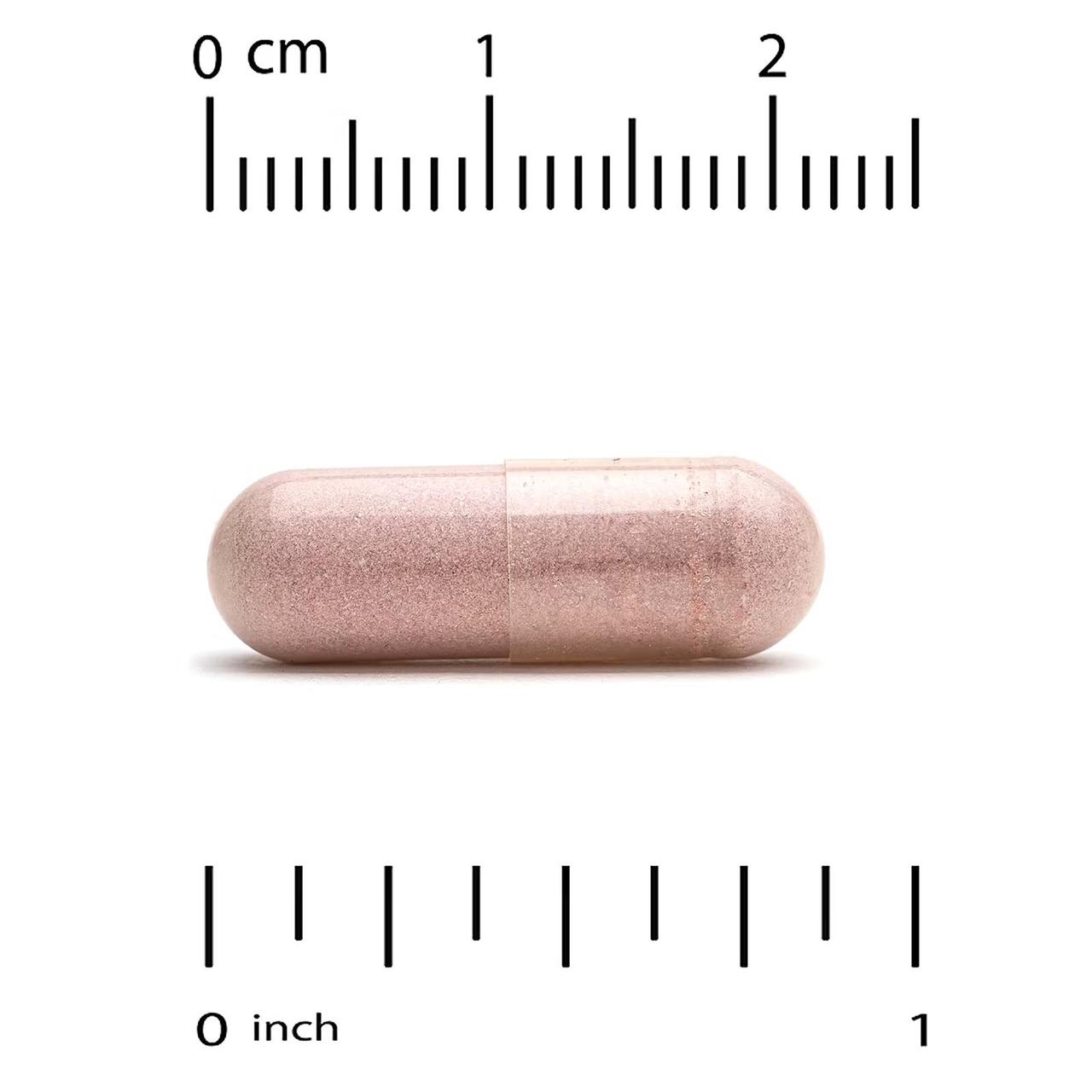 CGN, Экстракт виноградных косточек, 100 мг, 120 капсул - фото 3 - id-p101820777