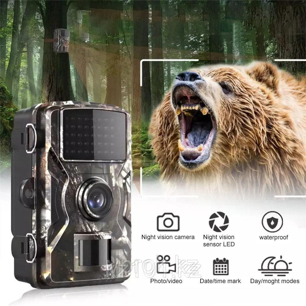 Фотоловушка DL001 Камера видеонаблюдения с датчиком движения и ночной съемкой дальность 12 м, 1080P, IP 65 - фото 1 - id-p114167182