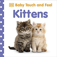 Baby Touch and Feel. Kittens