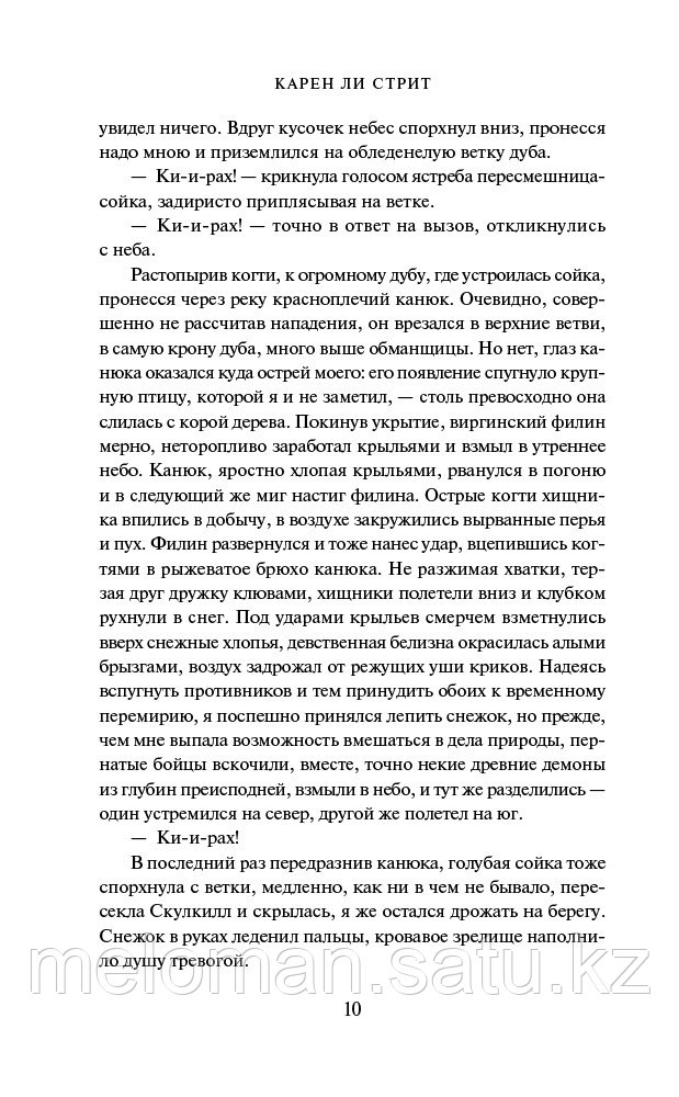 Стрит К. Л.: Эдгар Аллан По и Перуанское Сокровище - фото 6 - id-p114176585