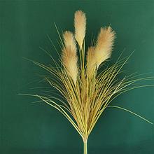 Картадерия (пампасная трава) цвет соломенный  100 см