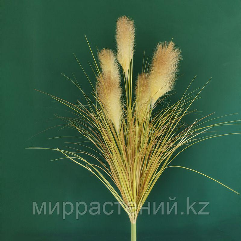 Картадерия (пампасная трава) цвет соломенный 100 см - фото 1 - id-p114193732