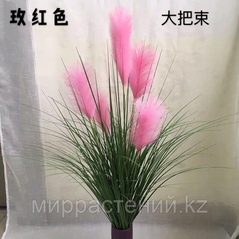 Картадерия (пампасная трава) цвет ярко розовый 100 см - фото 1 - id-p114193730