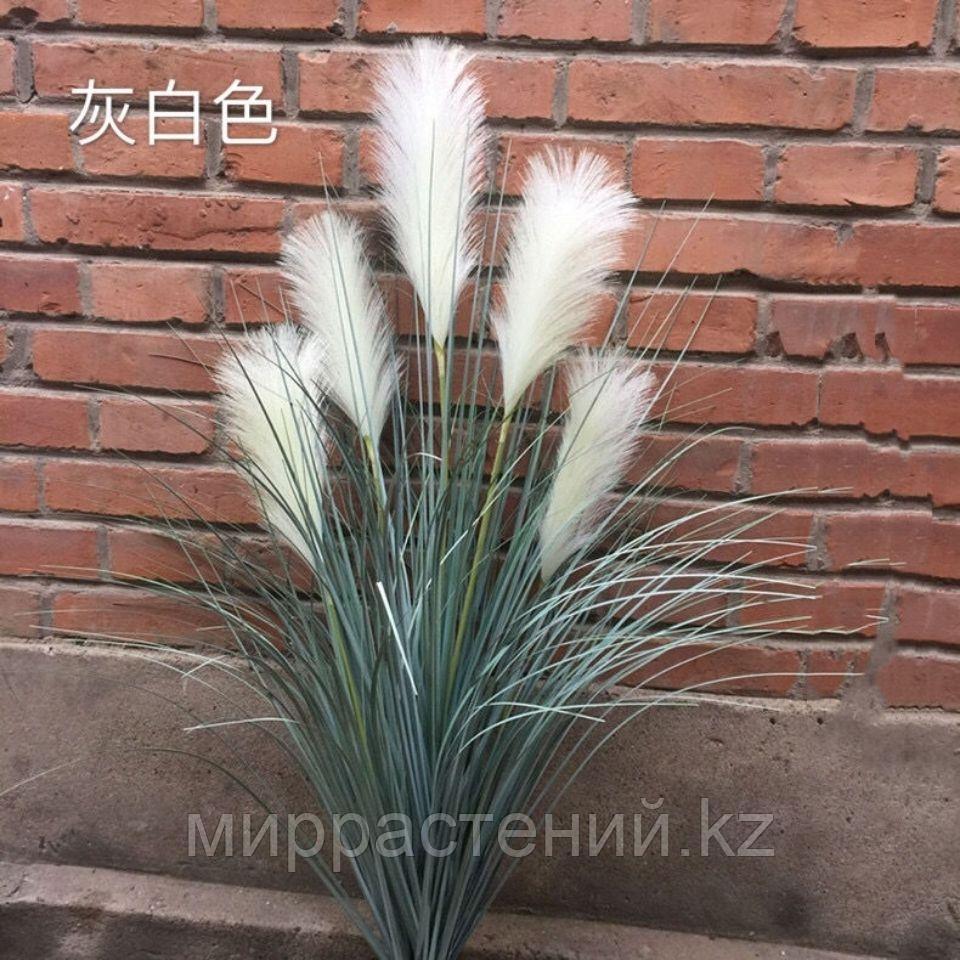 Картадерия (пампасная трава) цвет белый 100 см - фото 6 - id-p114193453