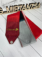 Лента для художественной гимнастики 5м chacott