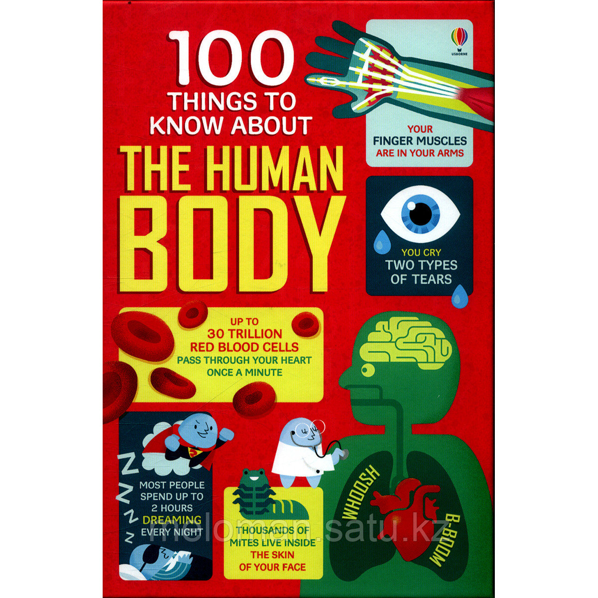 100 things to know about human body
