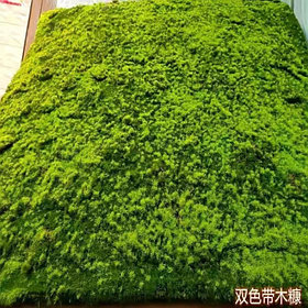 Искусственный мох, полотно 50*50 см